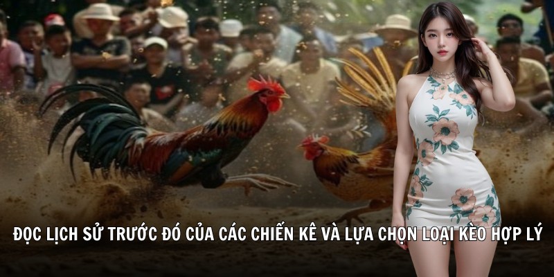 Đọc lịch sử trước đó của các chiến kê và lựa chọn loại kèo hợp lý